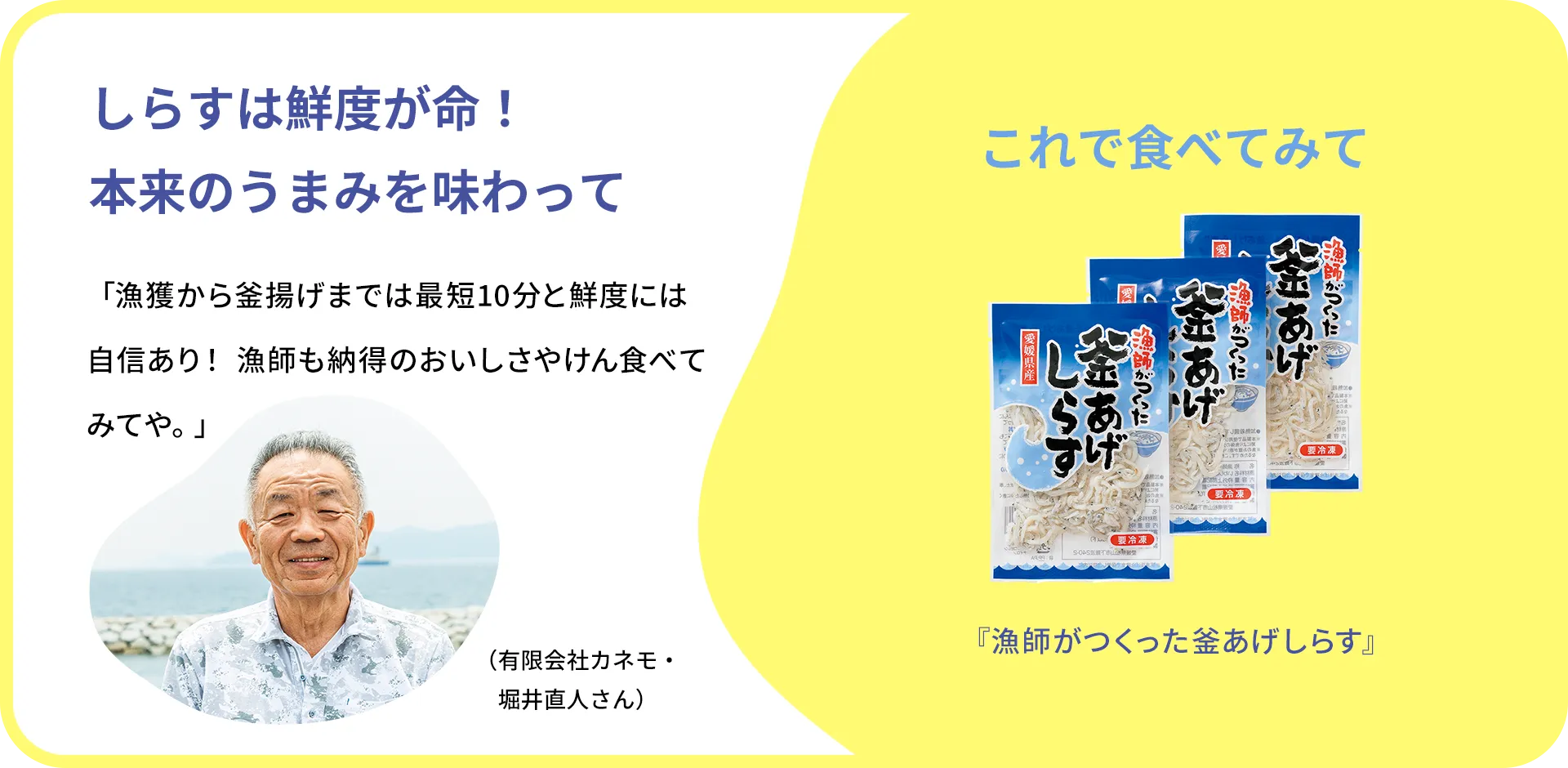 お魚クイズのまとめ