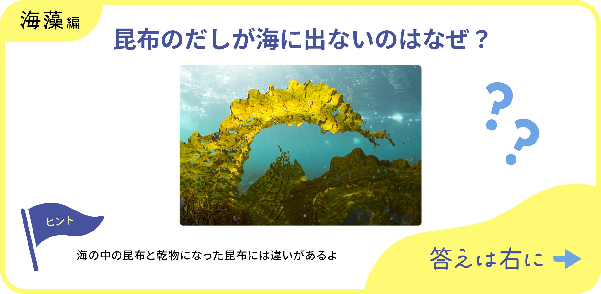 お魚クイズの1つ目の質問
