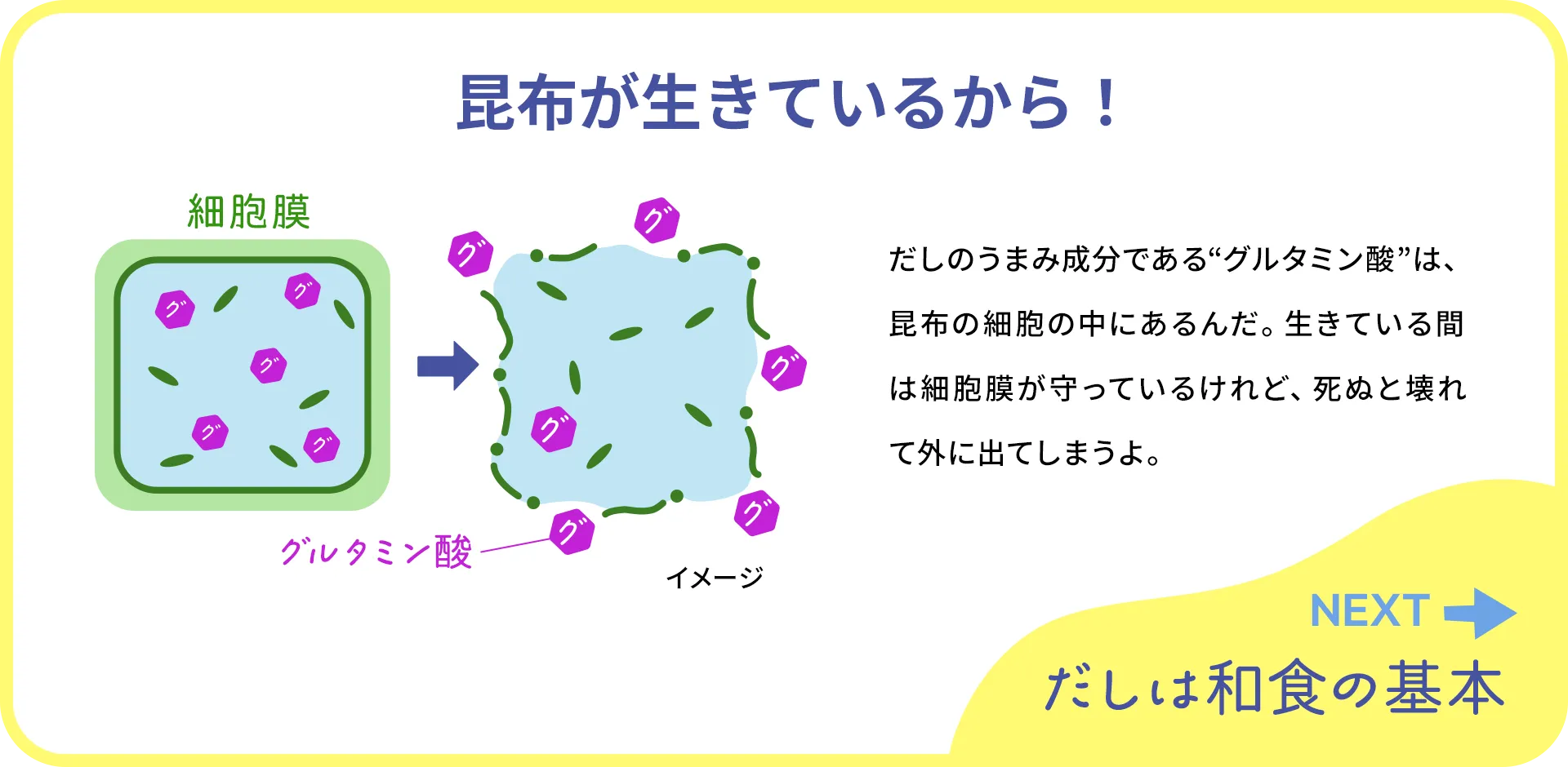 お魚クイズ1つ目の答え