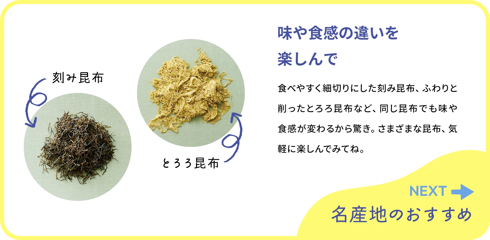お魚クイズの2つ目の質問