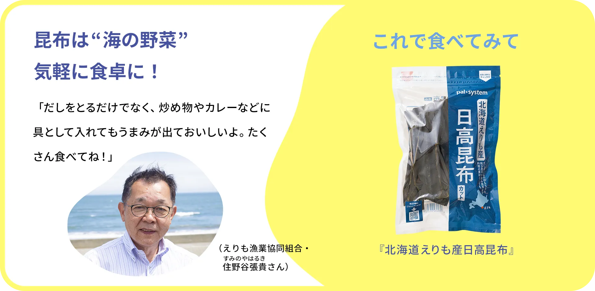 お魚クイズのまとめ