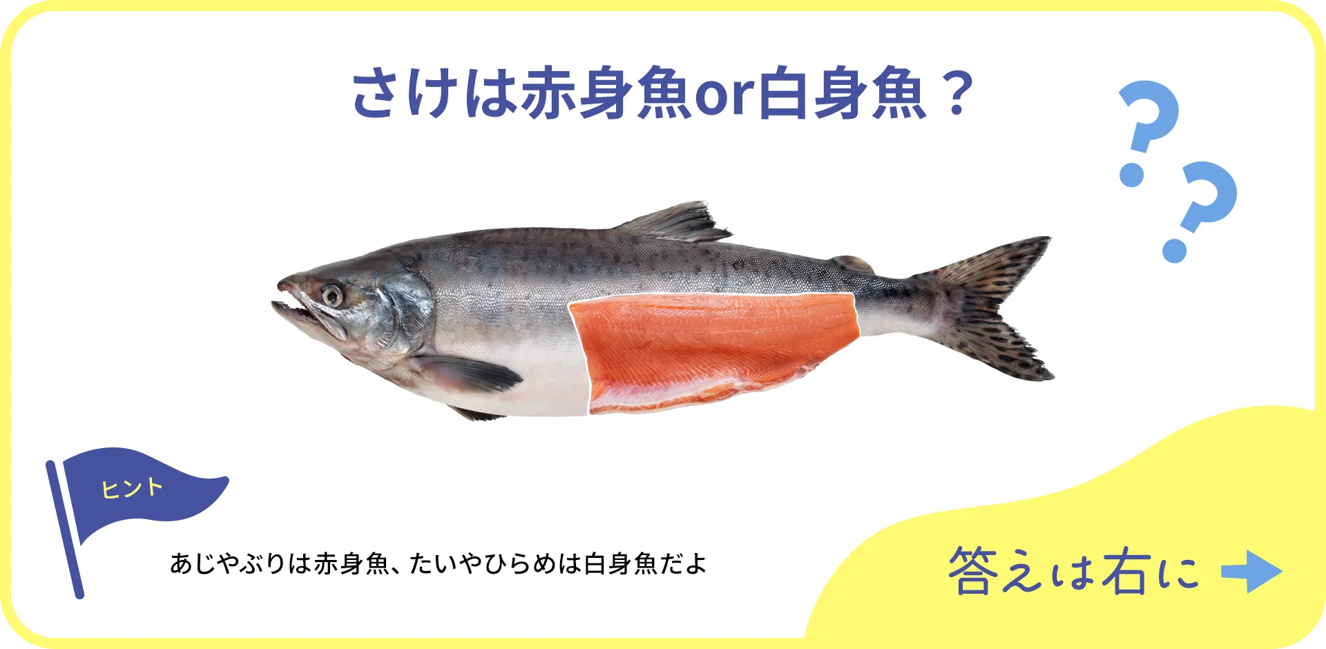 お魚クイズの1つ目の質問