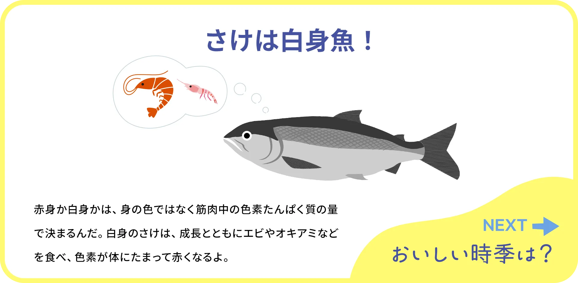 お魚クイズ1つ目の答え