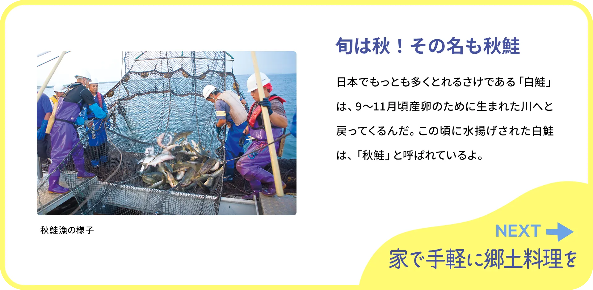 お魚クイズ2つ目の質問