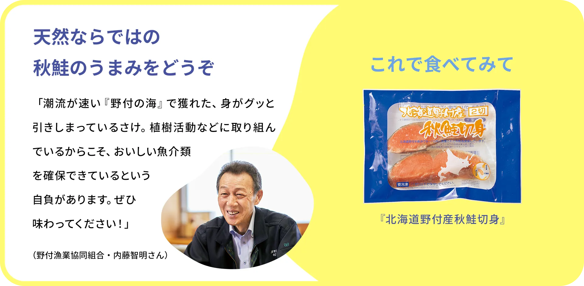 お魚クイズのまとめ