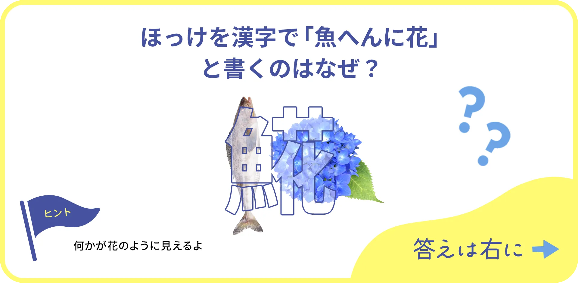 お魚クイズの1つ目の質問