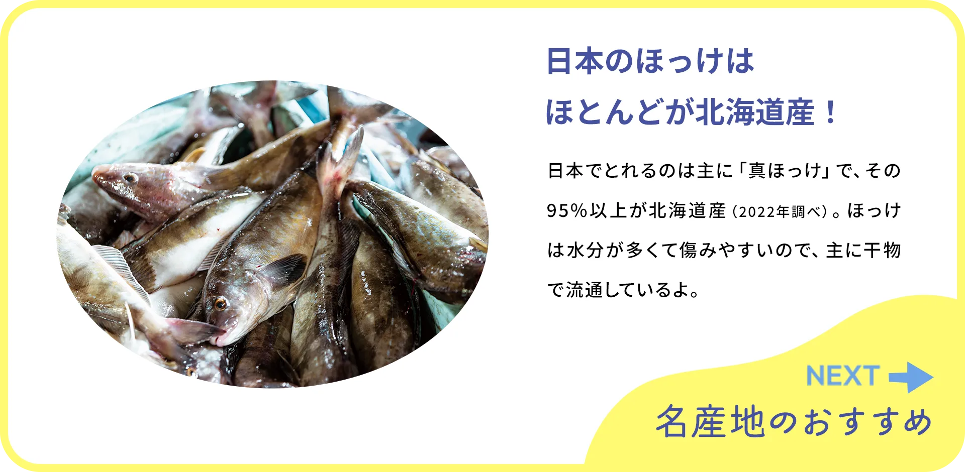 お魚クイズの2つ目の質問