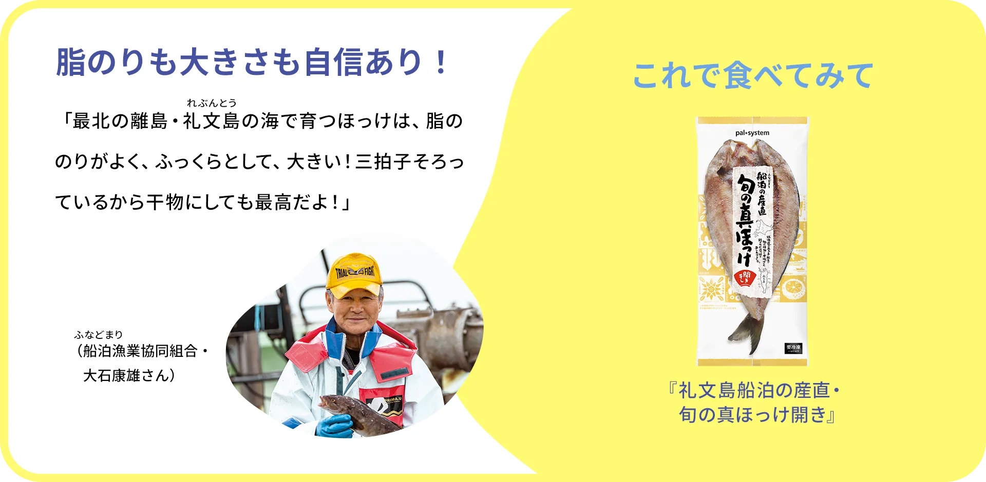 お魚クイズのまとめ
