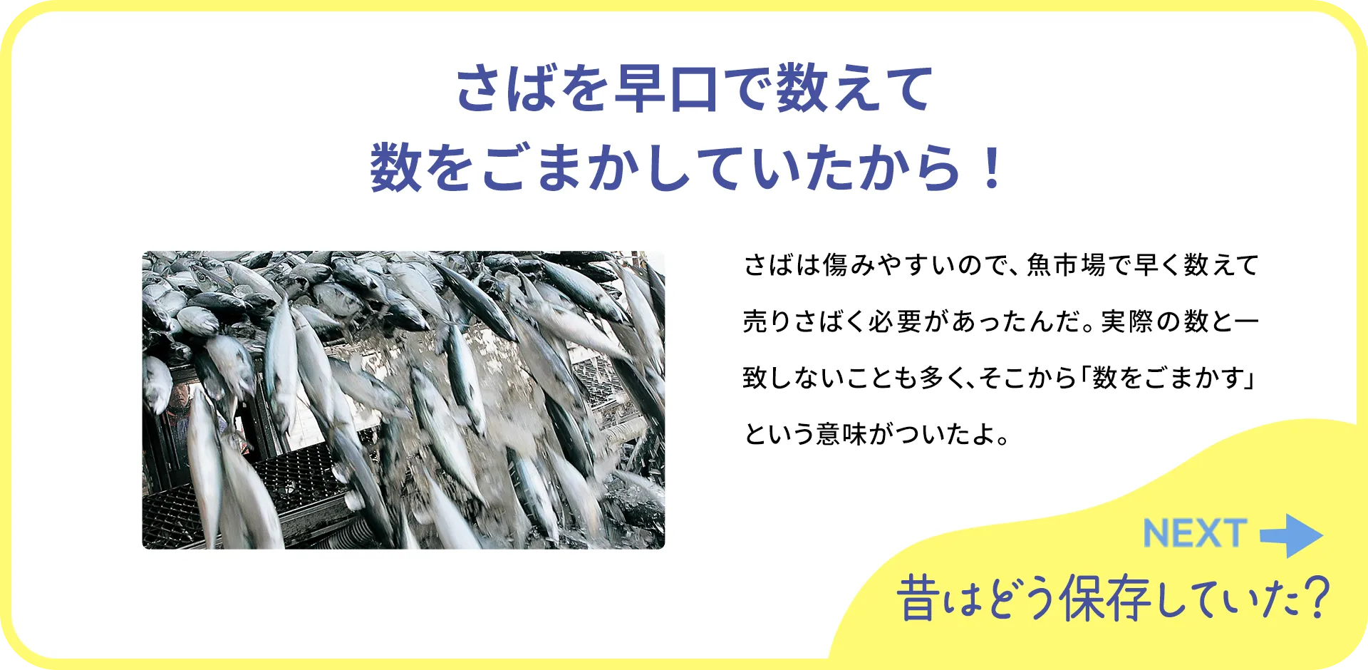 お魚クイズ1つ目の答え