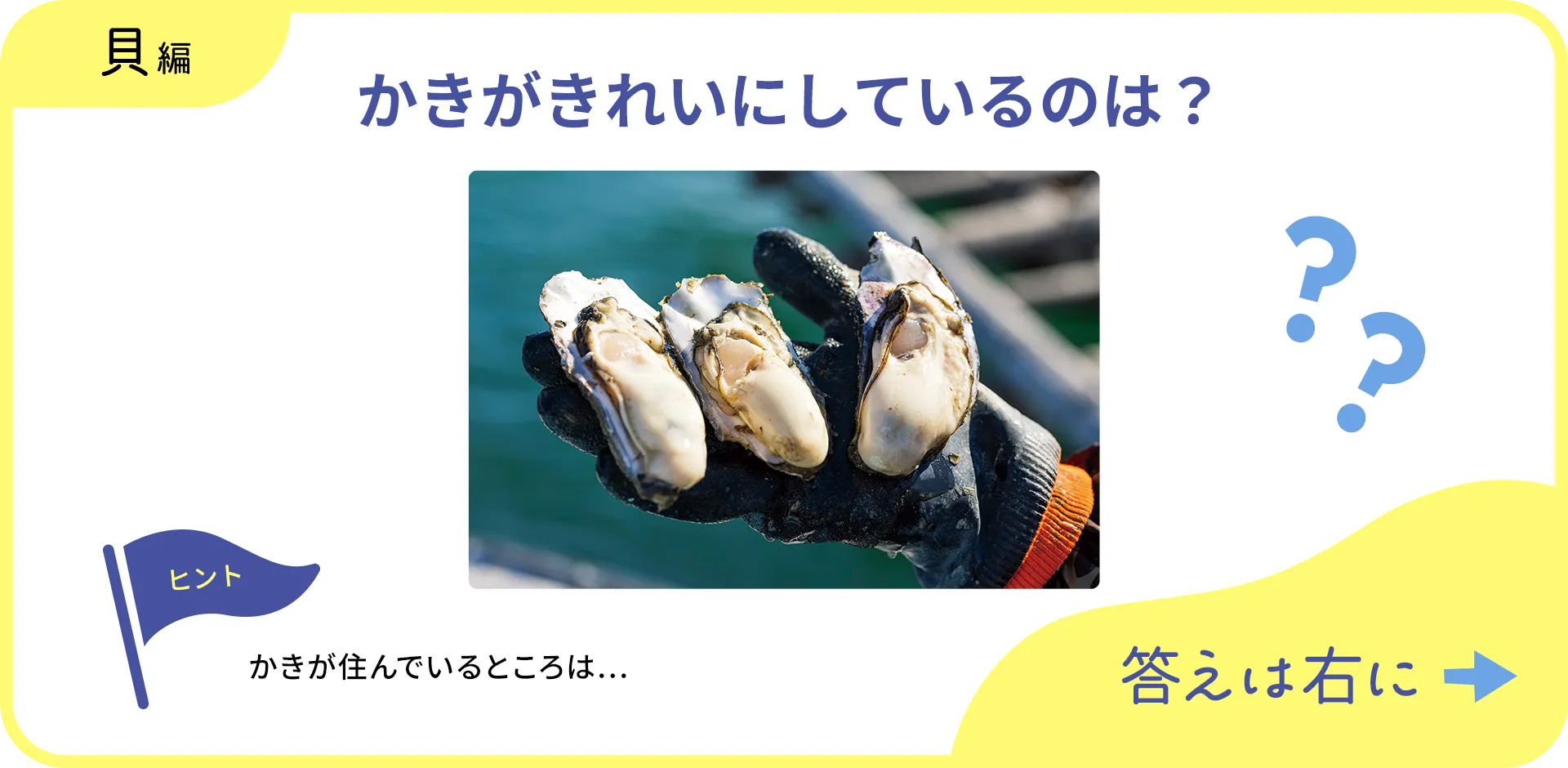 お魚クイズの1つ目の質問
