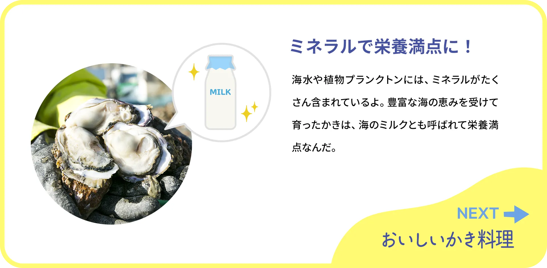 お魚クイズ2つ目の質問