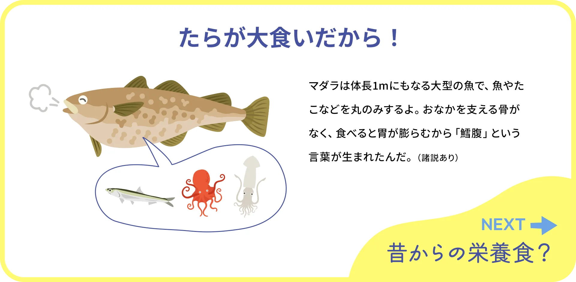 お魚クイズ1つ目の答え