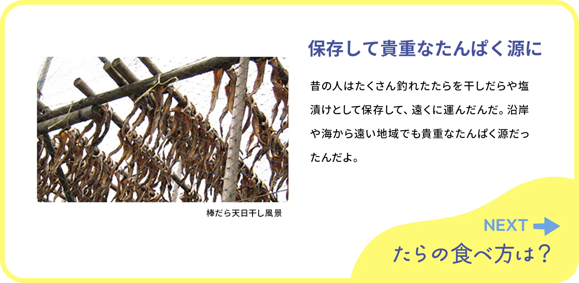 お魚クイズ2つ目の質問