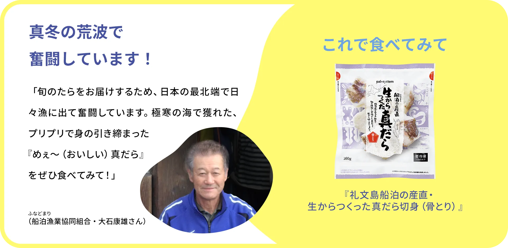 お魚クイズのまとめ