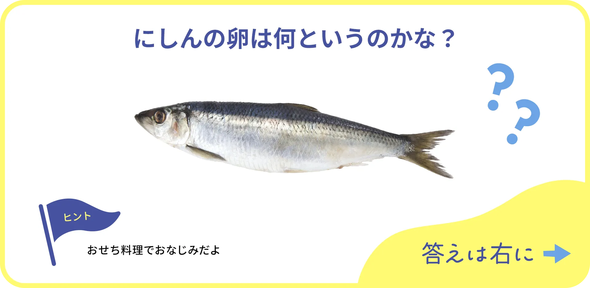 お魚クイズの1つ目の質問