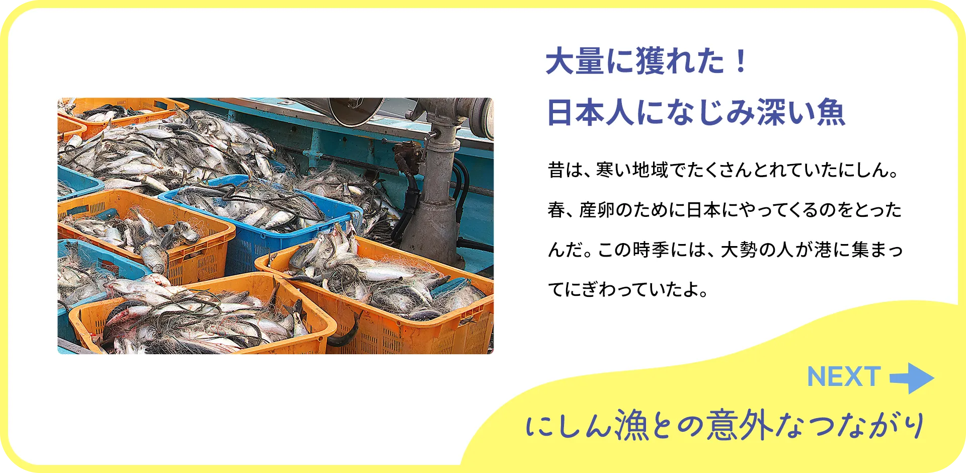 お魚クイズ2つ目の質問
