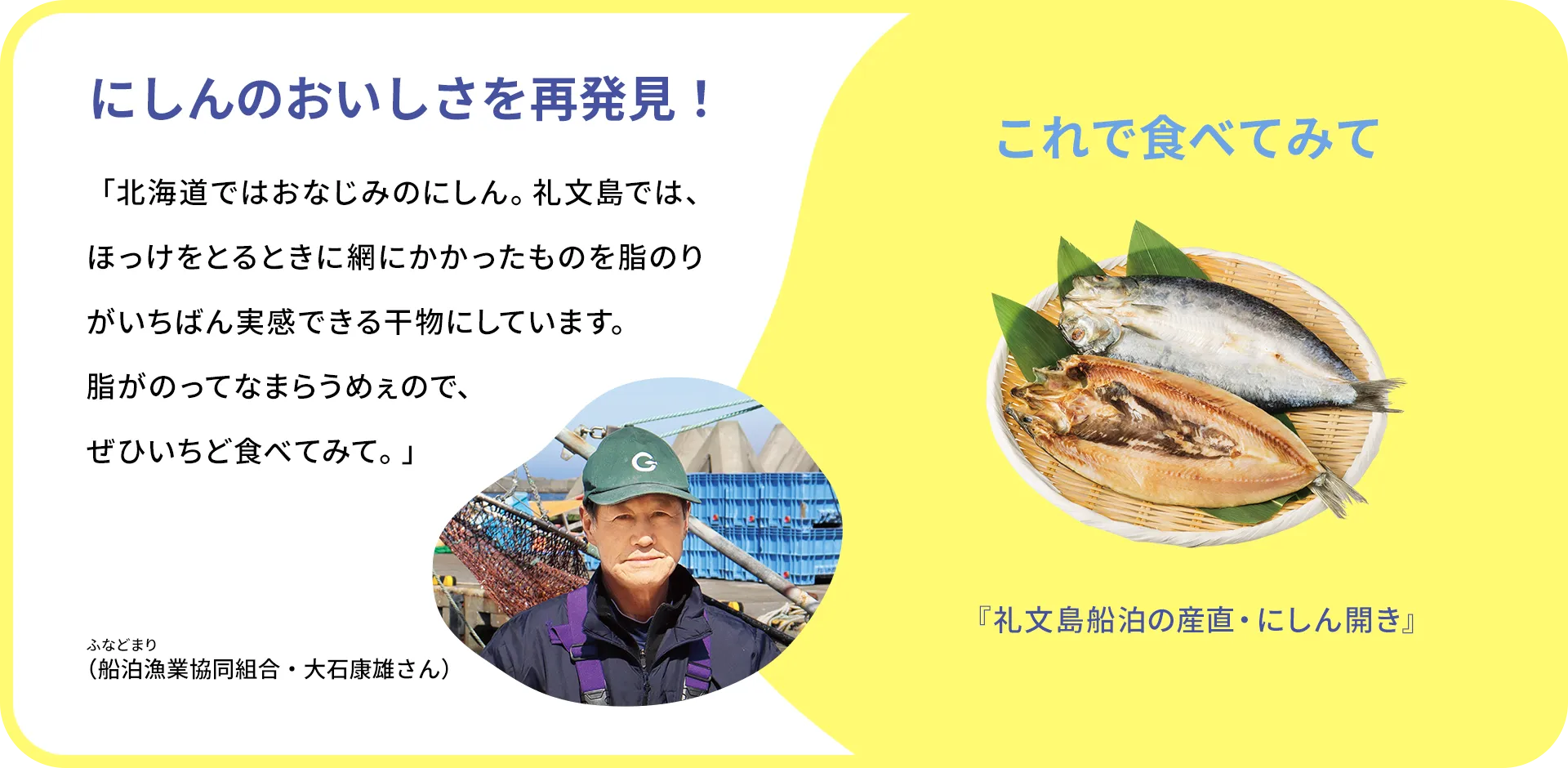 お魚クイズのまとめ