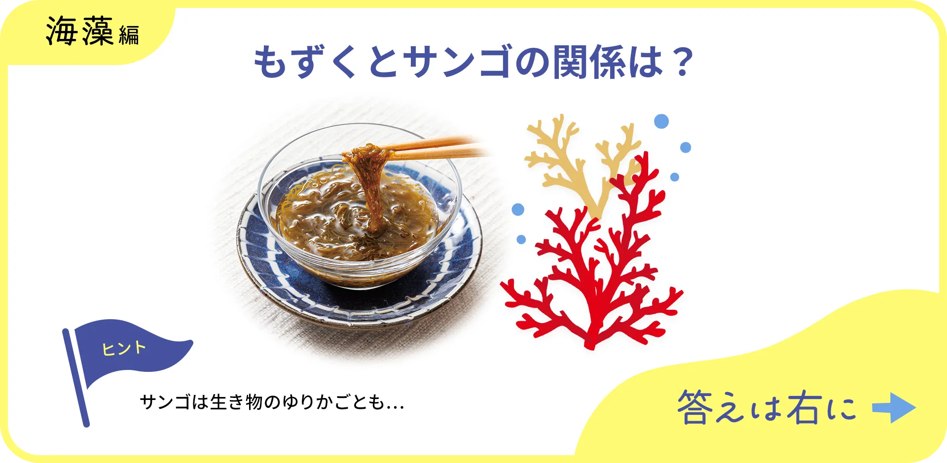 お魚クイズの1つ目の質問