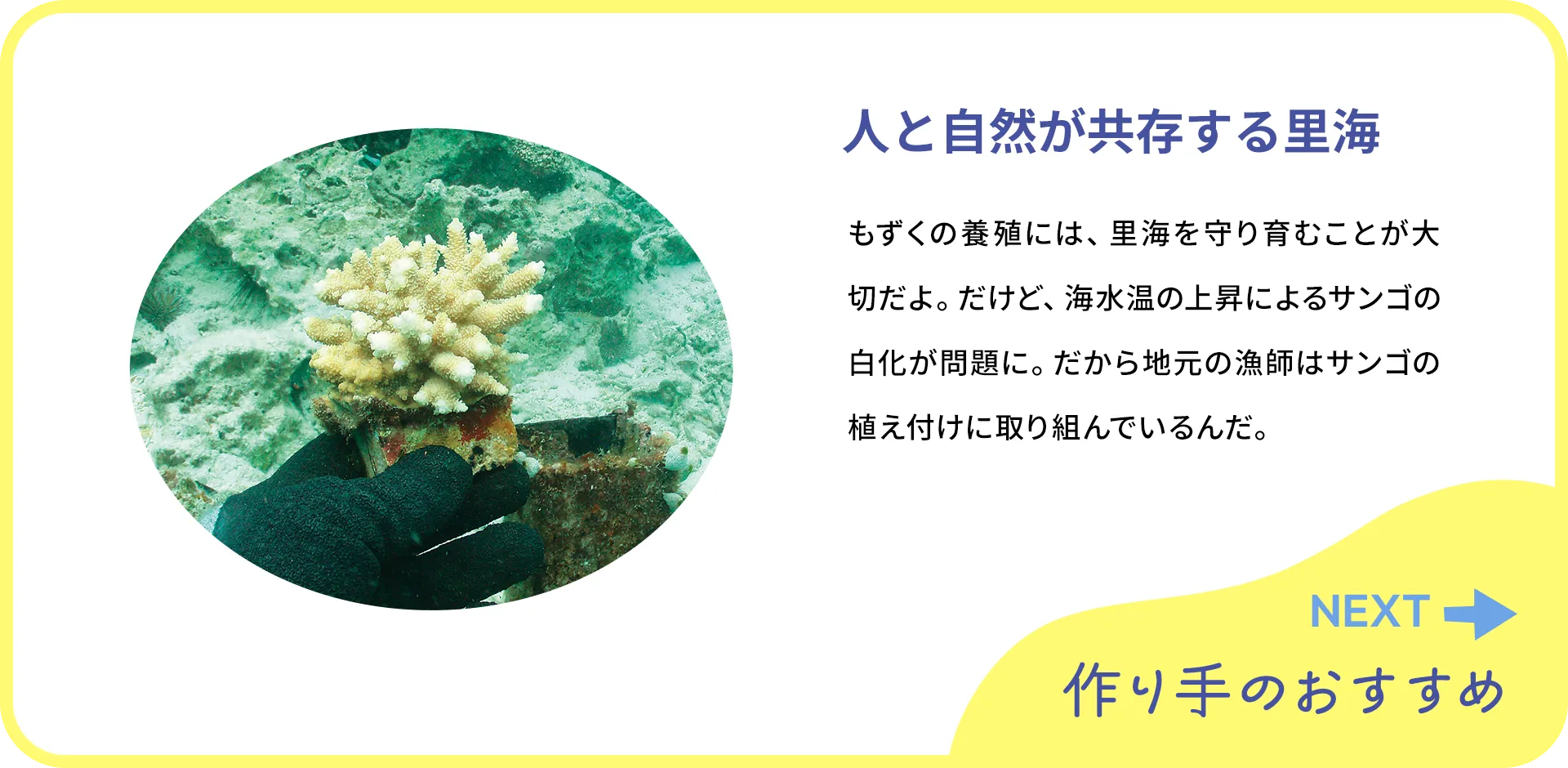 お魚クイズの2つ目の質問