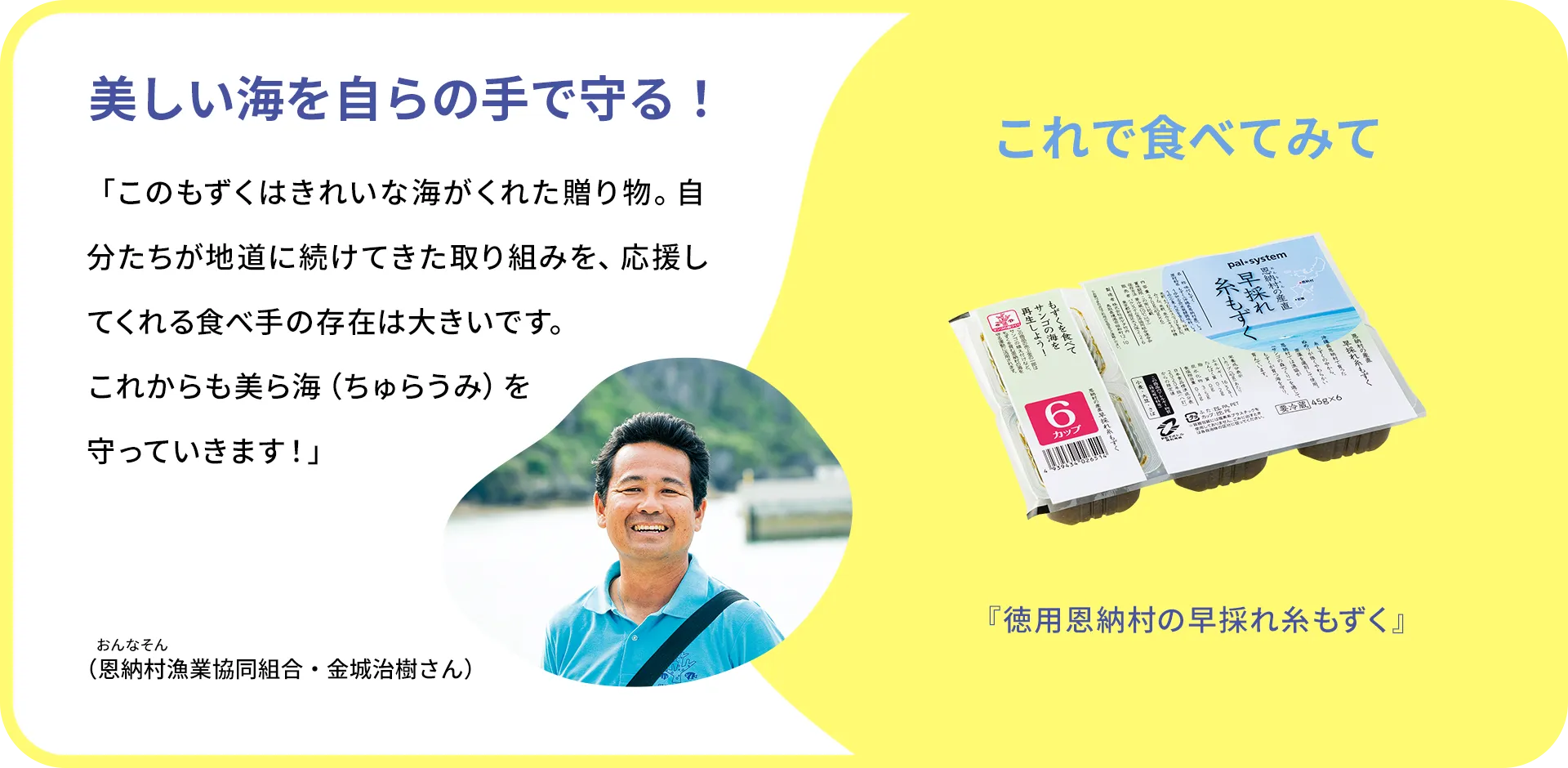 お魚クイズのまとめ