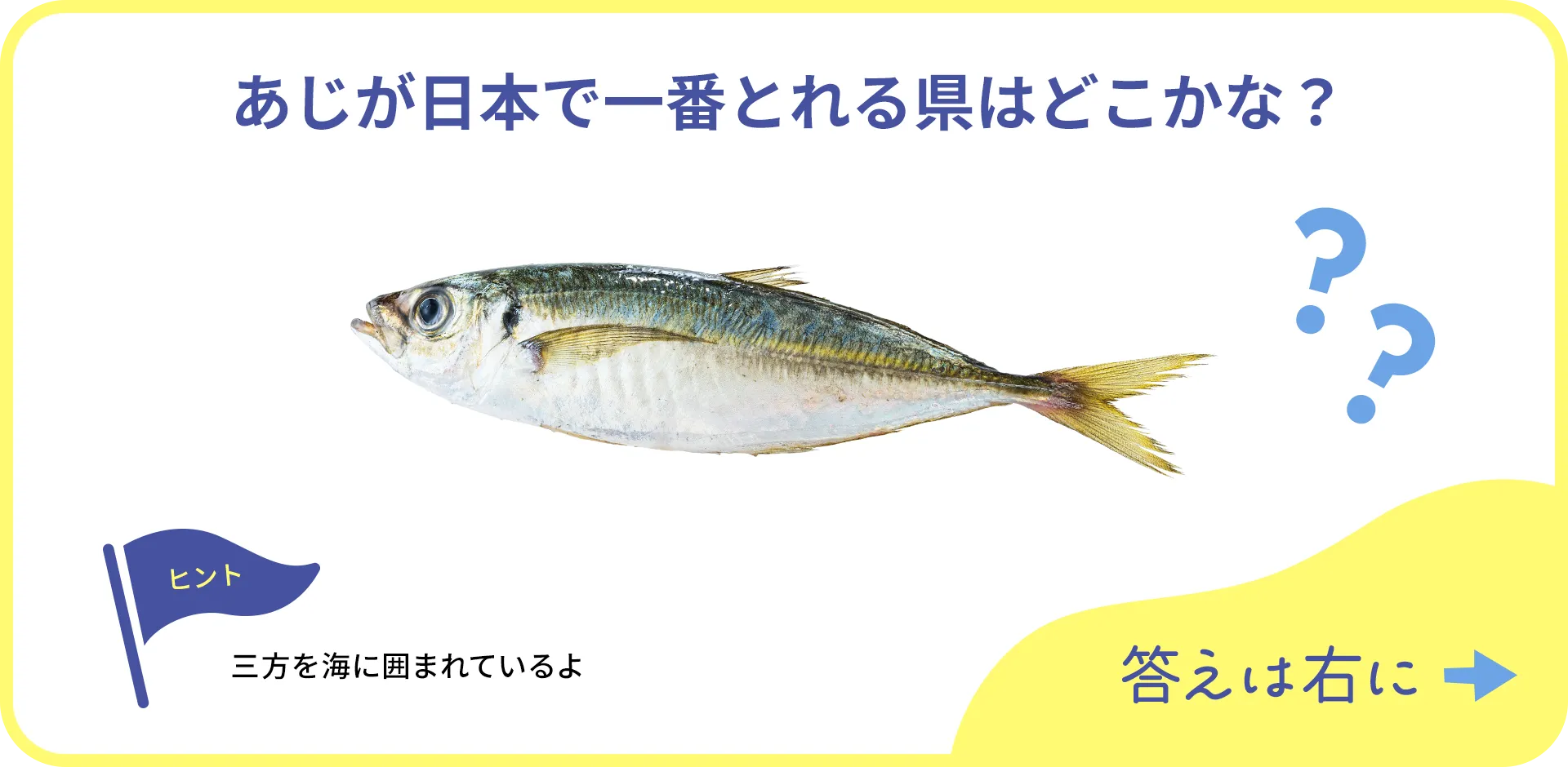 お魚クイズの1つ目の質問