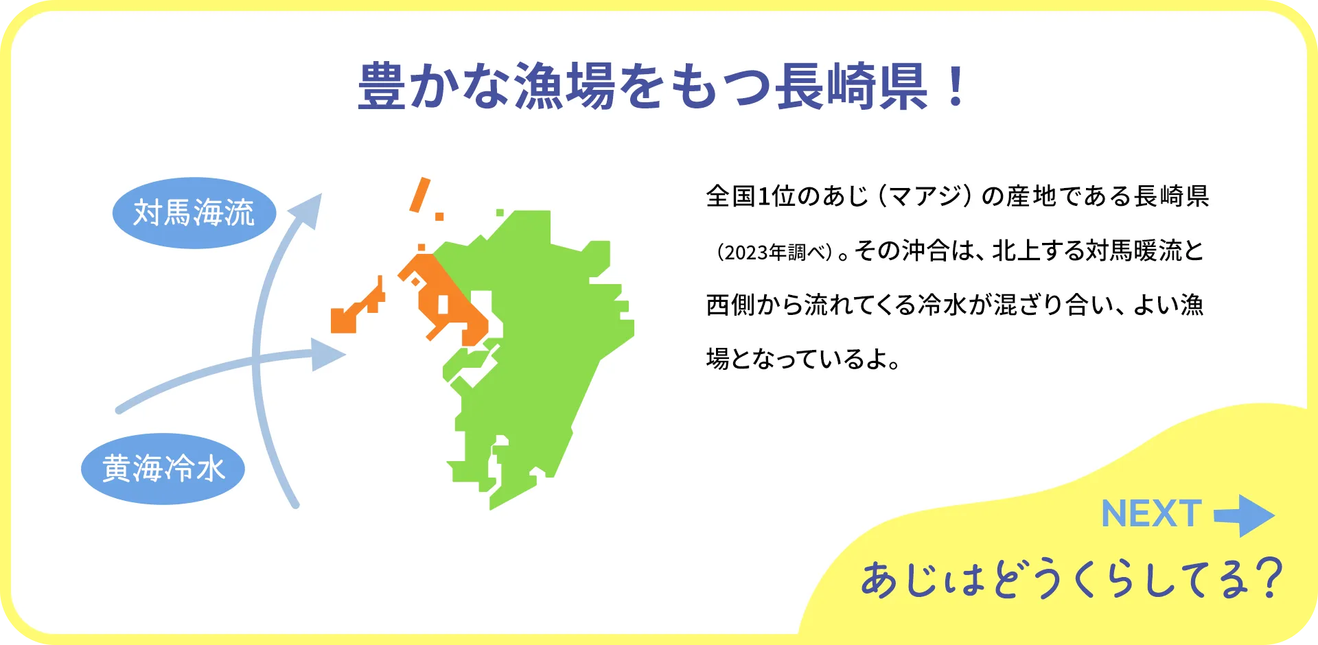 お魚クイズ1つ目の答え