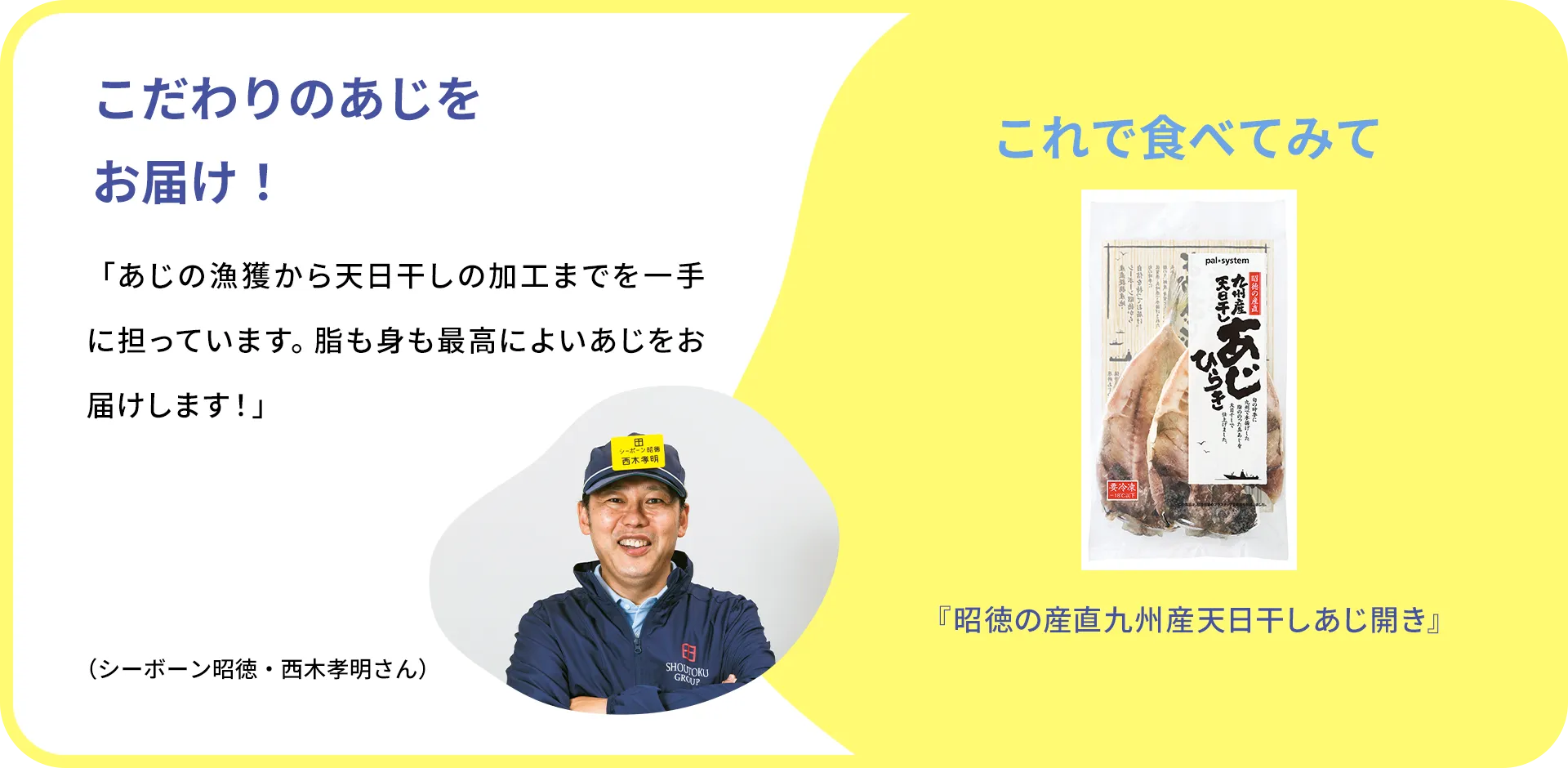 お魚クイズのまとめ