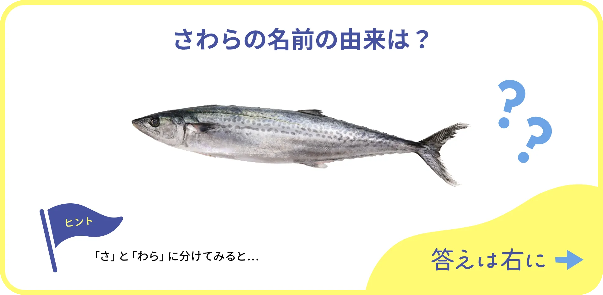 お魚クイズの1つ目の質問