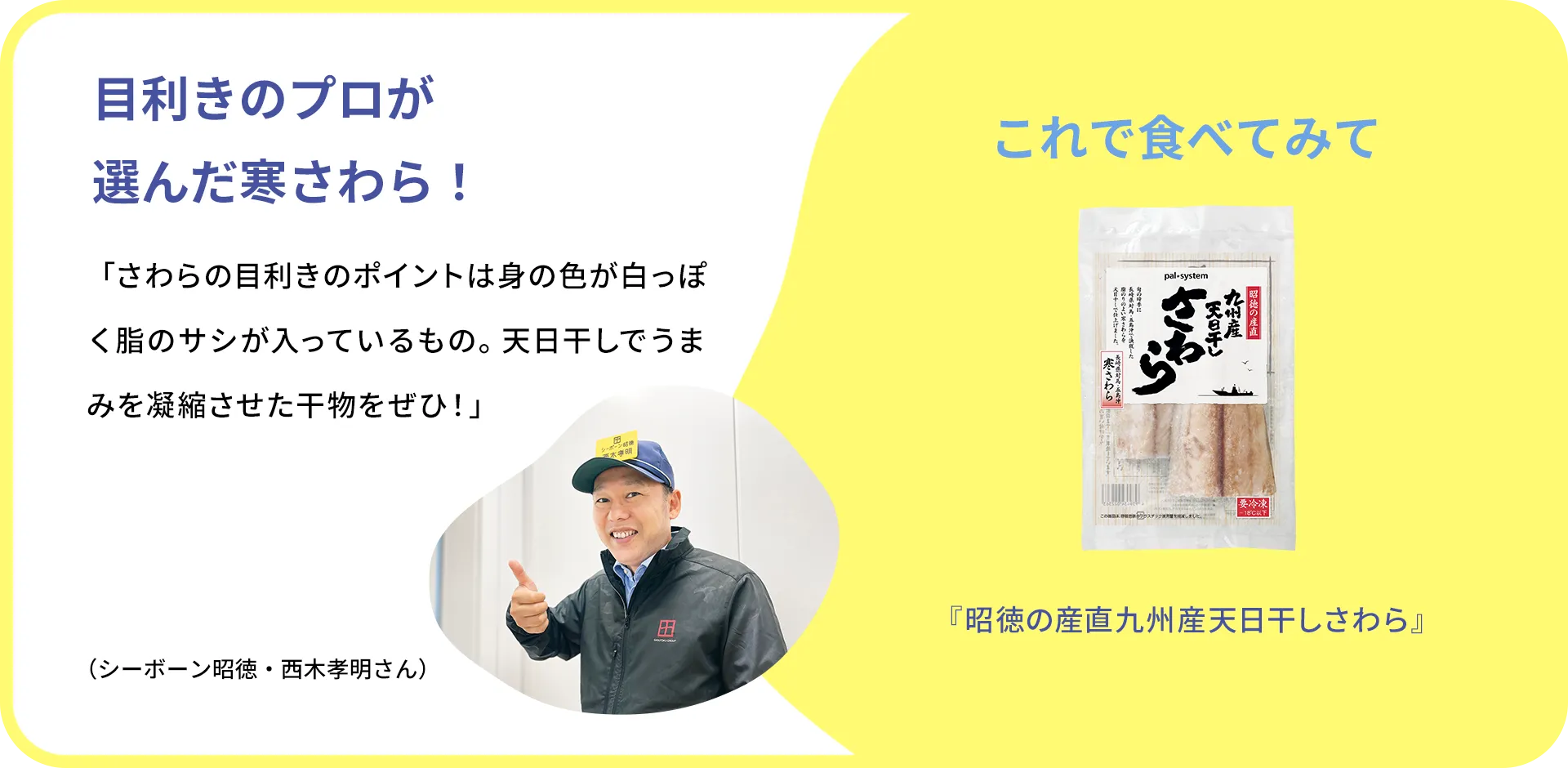 お魚クイズのまとめ