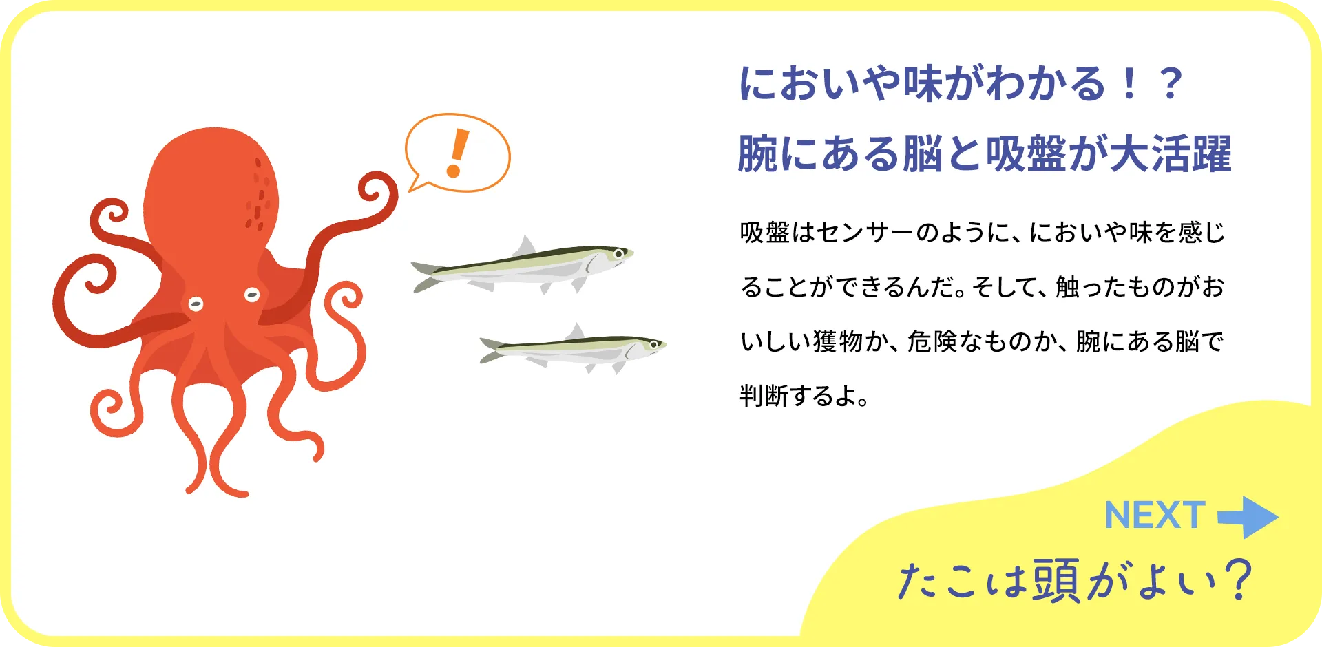 お魚クイズ2つ目の質問