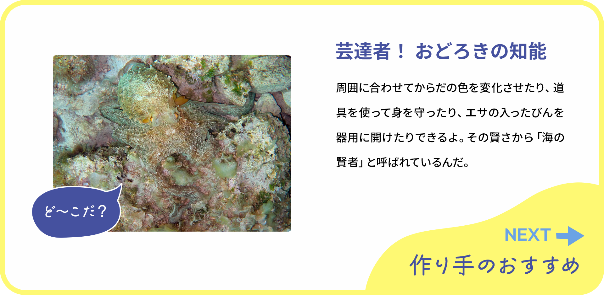 お魚クイズの2つ目の質問