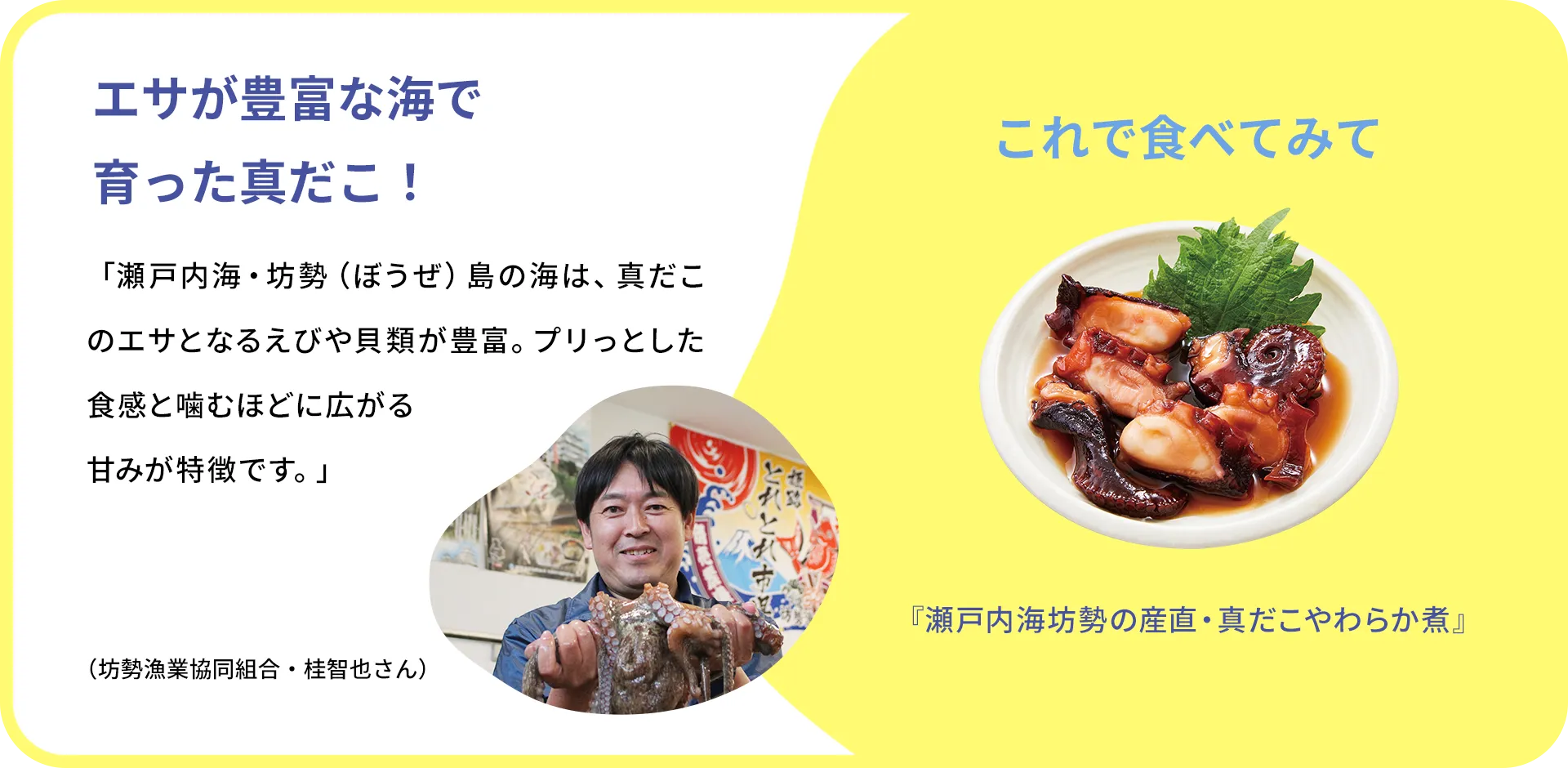 お魚クイズのまとめ