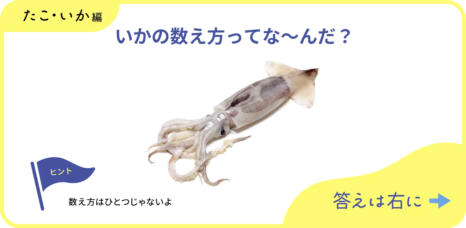 お魚クイズの1つ目の質問