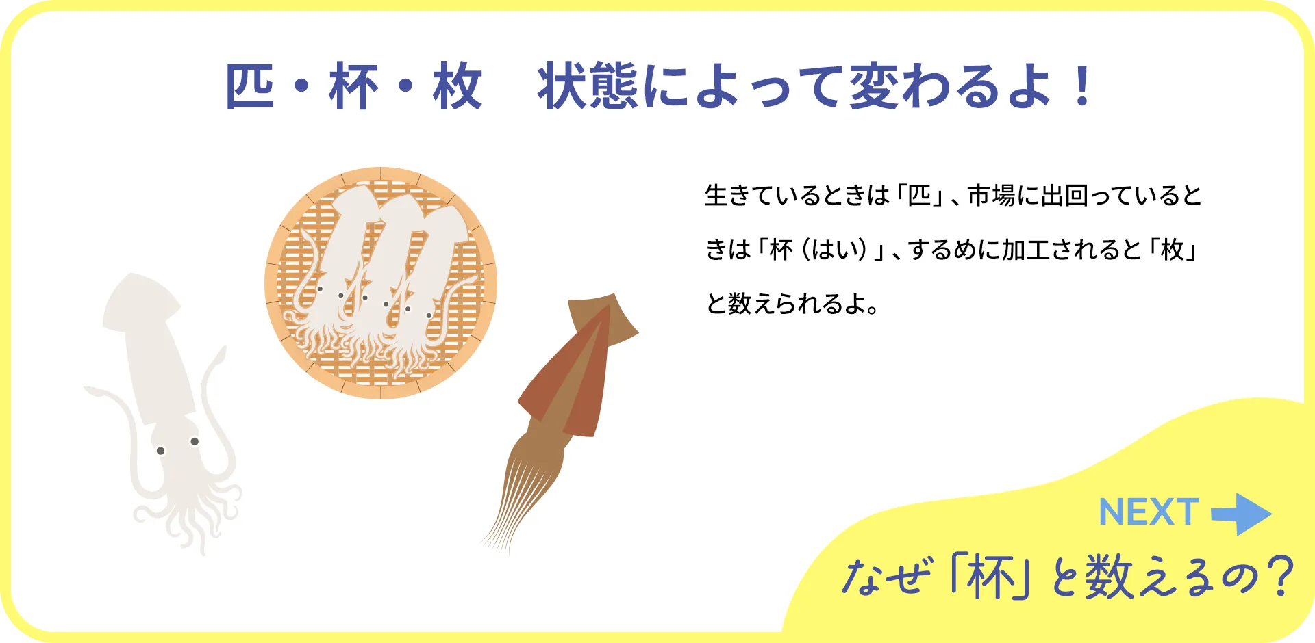 お魚クイズ1つ目の答え