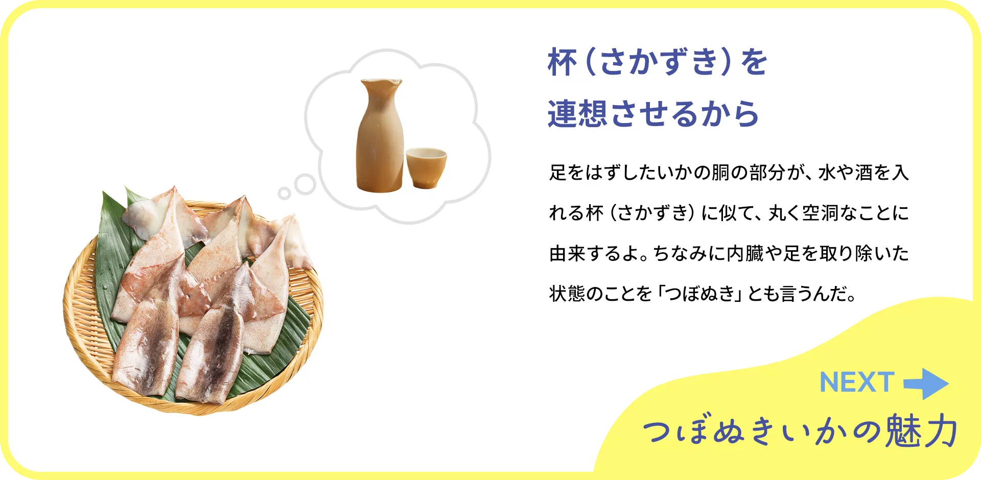 お魚クイズ2つ目の質問