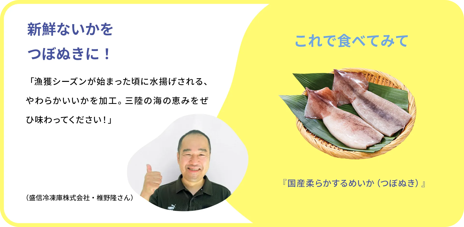 お魚クイズのまとめ