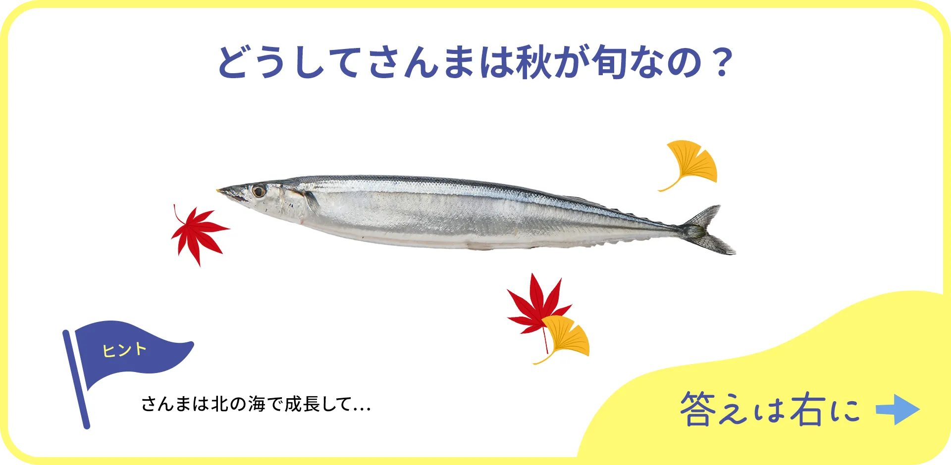 お魚クイズの1つ目の質問
