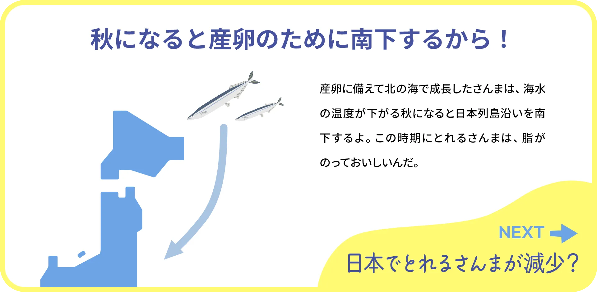 お魚クイズ1つ目の答え