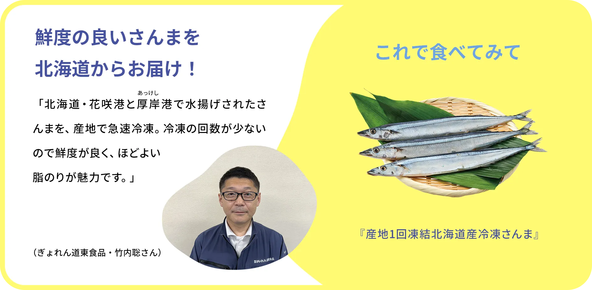 お魚クイズのまとめ
