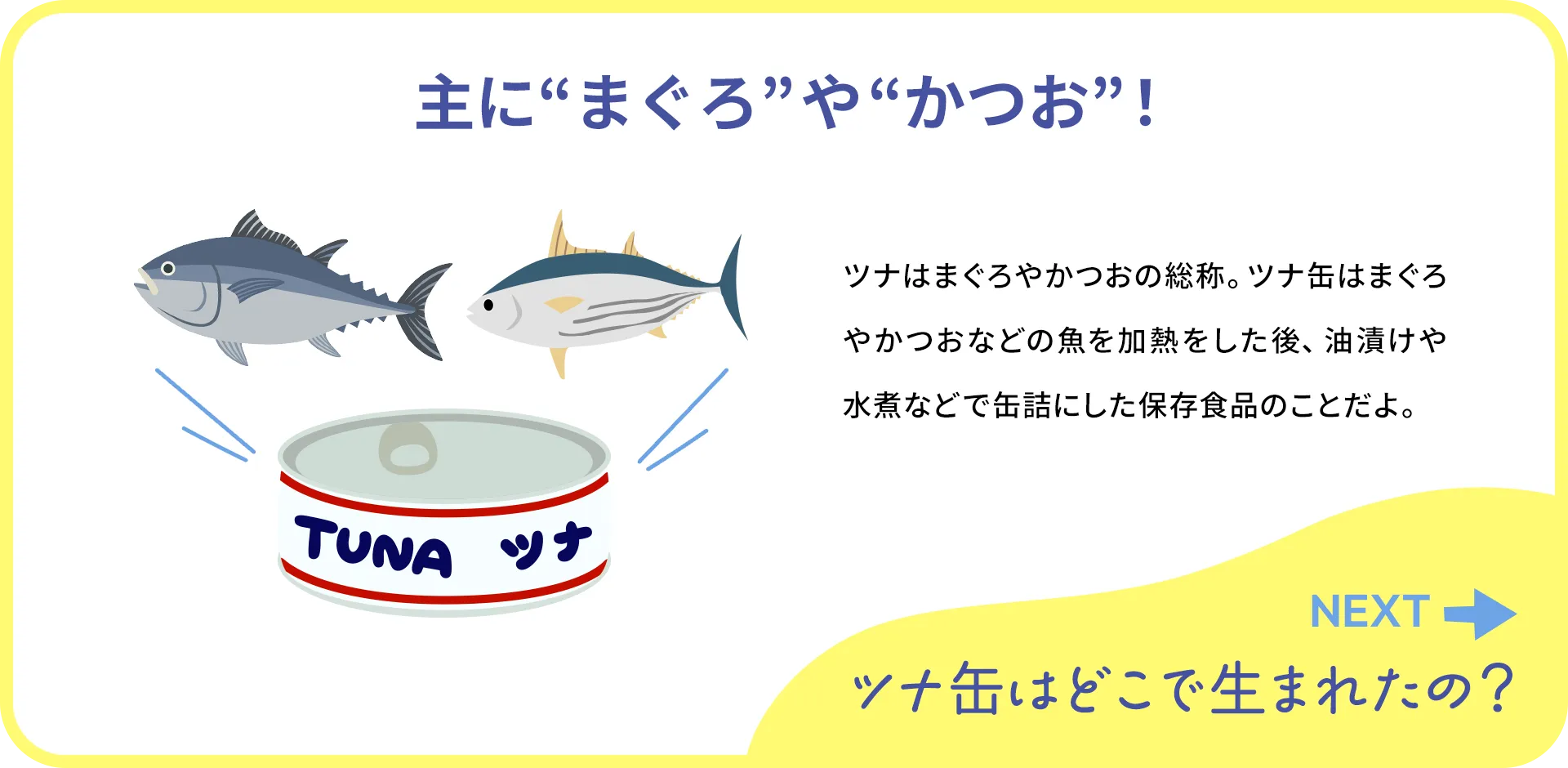 お魚クイズ1つ目の答え