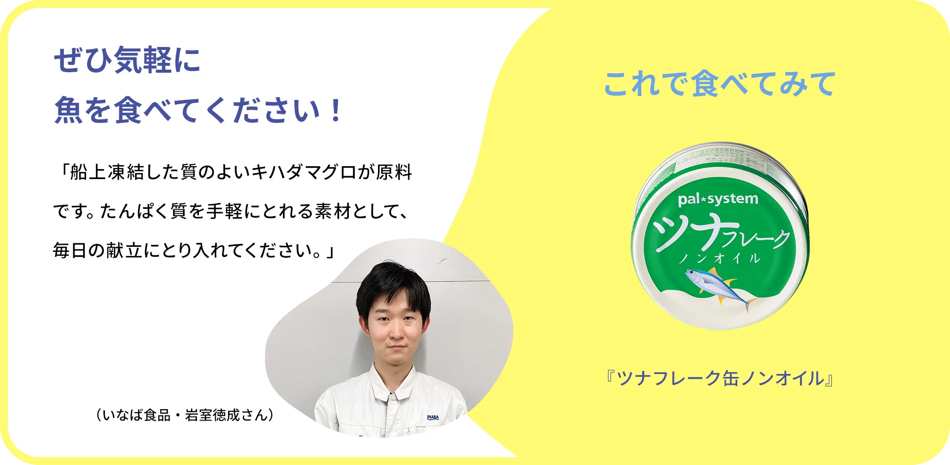 お魚クイズのまとめ