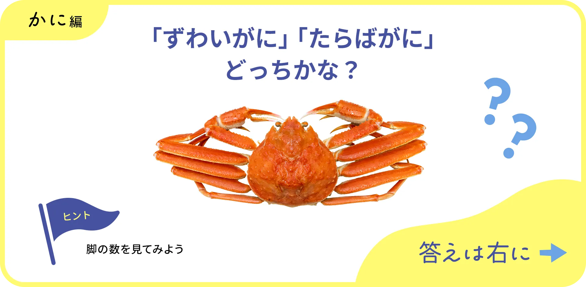 お魚クイズの1つ目の質問