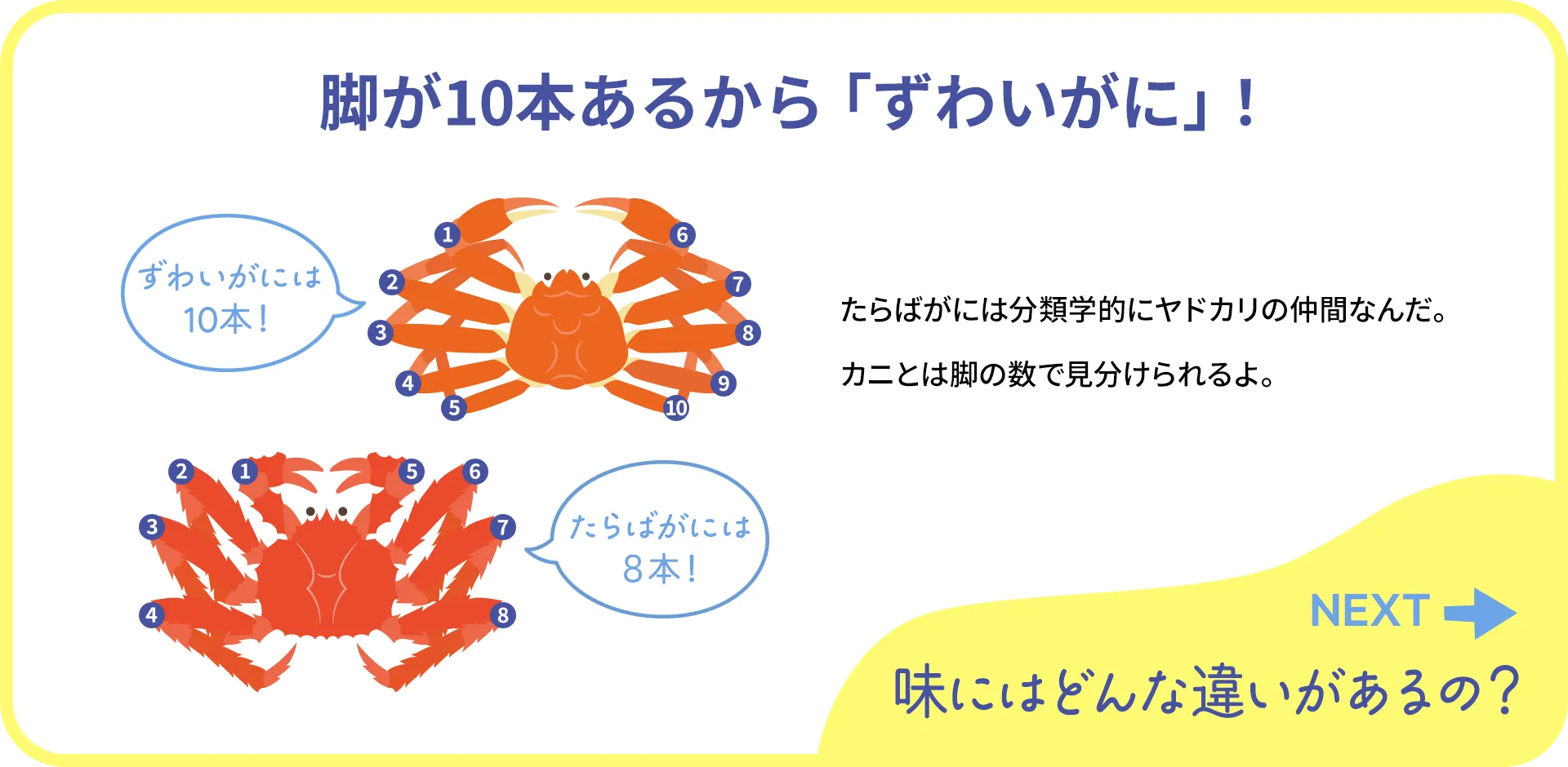 お魚クイズ1つ目の答え