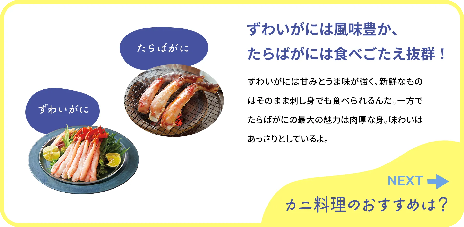 お魚クイズ2つ目の質問