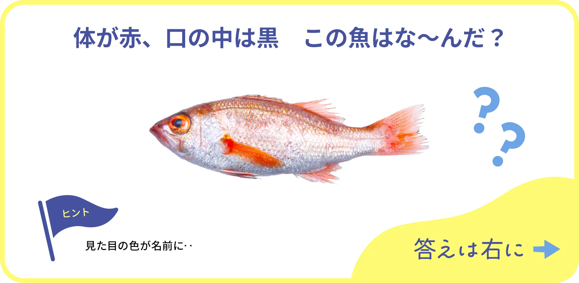 お魚クイズの1つ目の質問