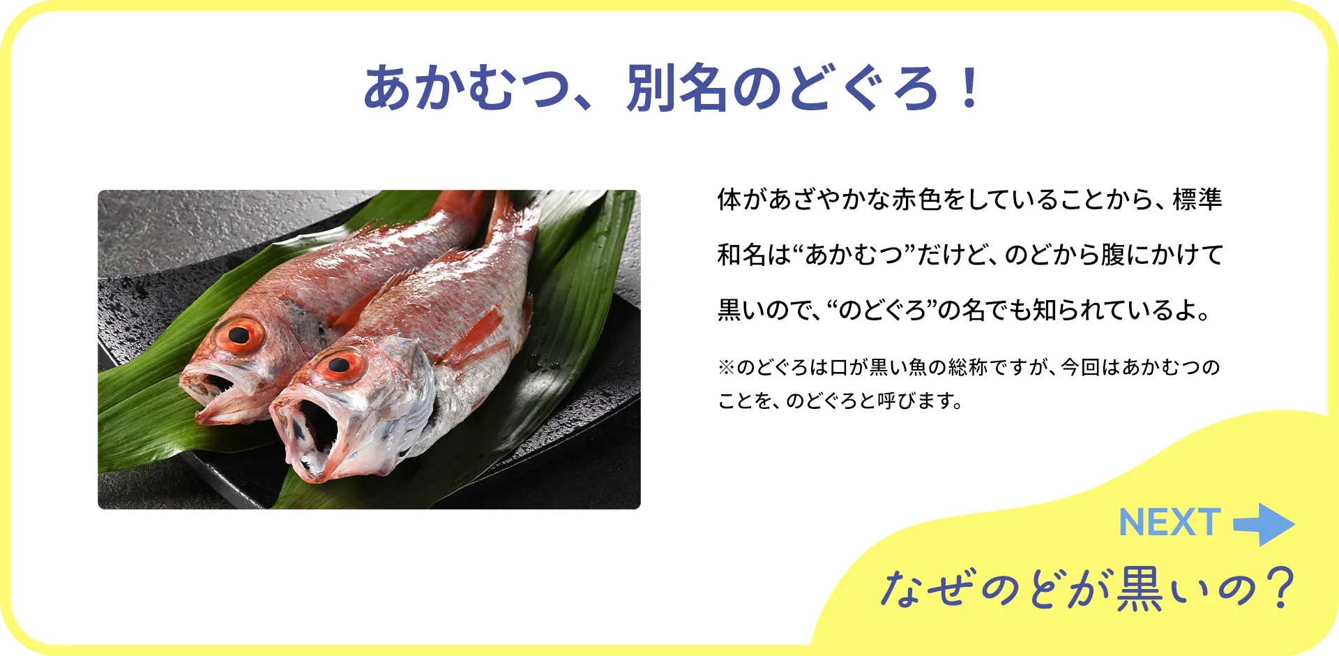 お魚クイズ1つ目の答え