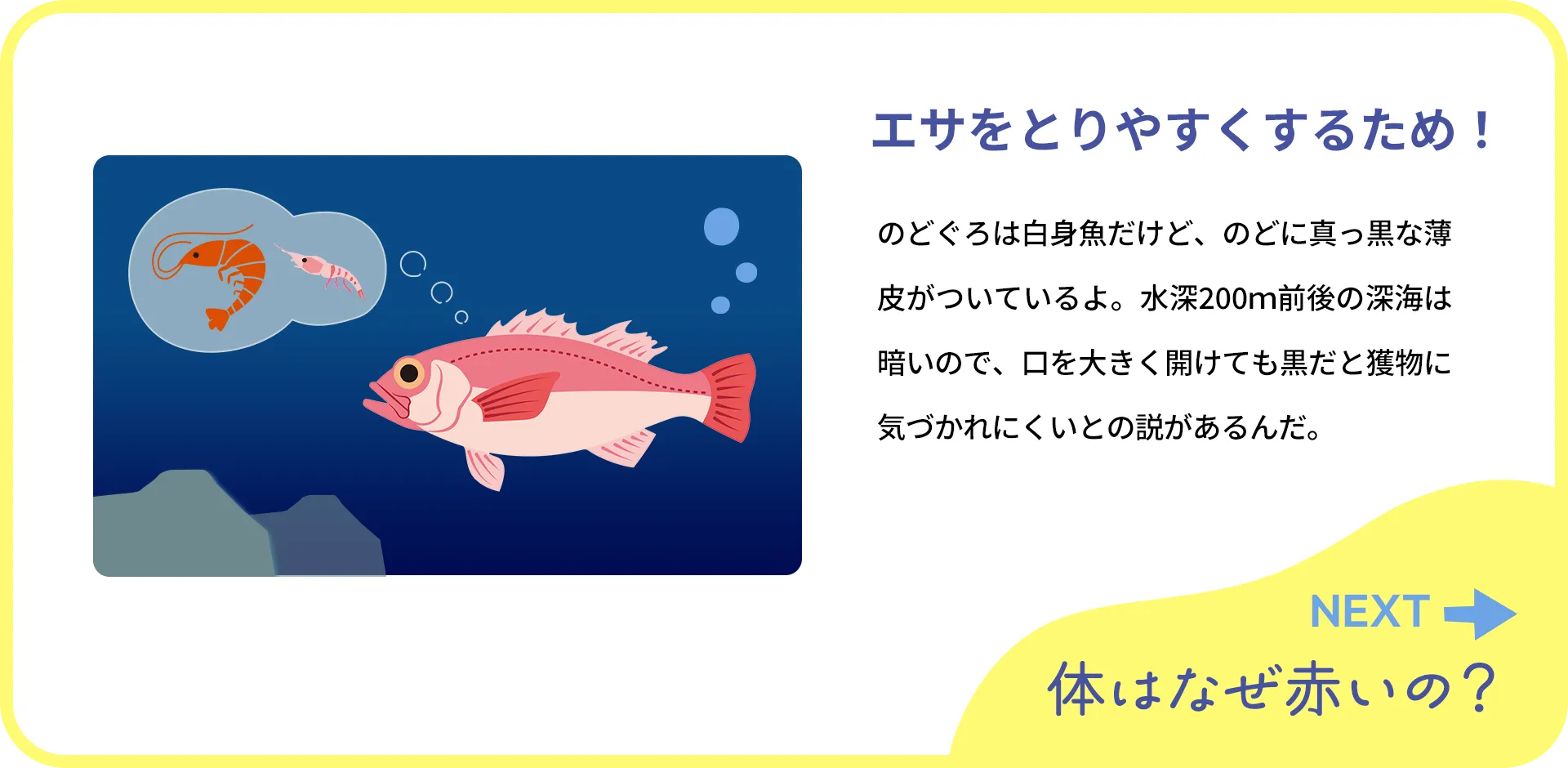 お魚クイズ2つ目の質問