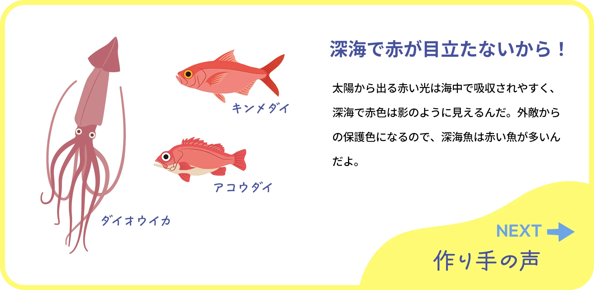 お魚クイズの2つ目の質問