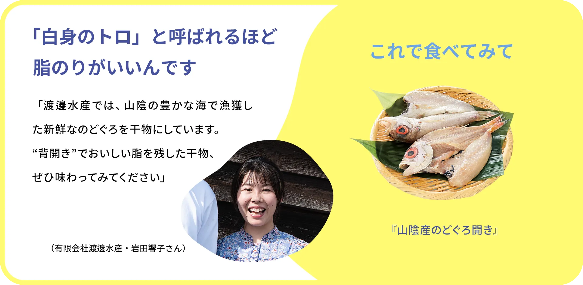 お魚クイズのまとめ