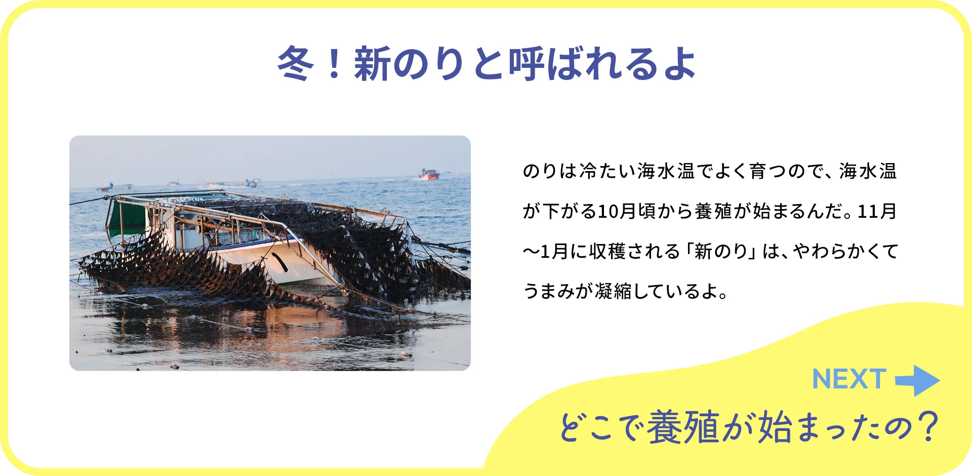 お魚クイズ1つ目の答え